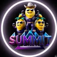 Summit : A token of Millionaires  WhatsApp Channel