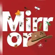 The Mirror - I’m a Celebrity…🐍 WhatsApp Channel