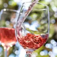 UOL | Vinhos | Dicas e curiosidades WhatsApp Channel