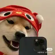 😹 𝚅𝚒𝚍𝚎𝚘𝚜 𝚢 𝙼𝚎𝚖𝚎𝚜 😹 WhatsApp Channel