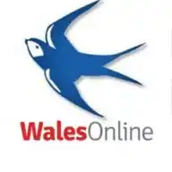 WalesOnline Cardiff City News WhatsApp Channel