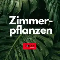 Zimmerpflanzen: Alles zu Pflege und Anzucht WhatsApp Channel