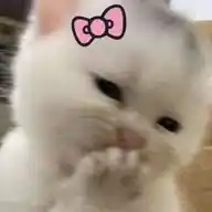⋆𐙚₊˚⊹♡𝐠𝐢𝐫𝐥𝐬 𝐏𝐢𝐧𝐤𝐬🍥🩰 WhatsApp Channel
