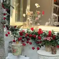 الأسرة المسلمة في زمن الغربة WhatsApp Channel