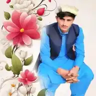 Ali Free Earnings WhatsApp Channel