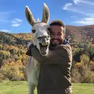 Cihan Çelik WhatsApp Channel