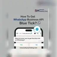 Dolly WhatsApp Channel
