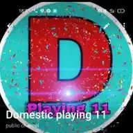 Domestic Playing 11 WhatsApp Channel