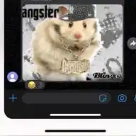 Estimados Vecinos  WhatsApp Channel