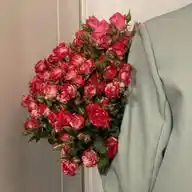 فإطمئِن🥺🤍 قرآن،اقتباسات،أ.ج.ح.ع.ه.غ.ف.ق.ث.ص.ض.ط.ك.م.ن.ت.ا.ل.ب.ي.س.ش.د.ظ.ز.و.ى.ة.ر.ؤ.ء.ذ WhatsApp Channel