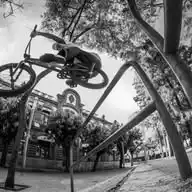 Juan Delgado BMX WhatsApp Channel
