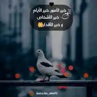 خواطر 🦋ꕥ WhatsApp Channel