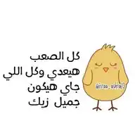 "كـــتــكـــوتــي🐣" WhatsApp Channel