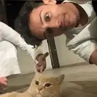 lion قروب  WhatsApp Channel