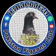 Pakistan Pigeons Club WhatsApp Channel