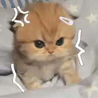 randOm post bb - !! WhatsApp Channel