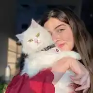رگنْيَ آلطيف  💟 WhatsApp Channel