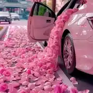 سحر الانوثة💕❄ WhatsApp Channel