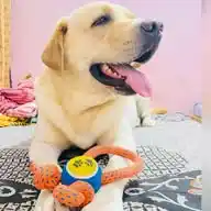Sonika WhatsApp Channel
