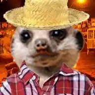 Suricate WhatsApp Channel