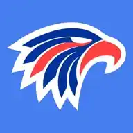 The Playoffs | NFL 🏈🇧🇷 WhatsApp Channel