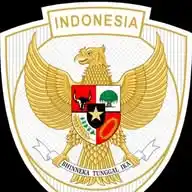 Timnas Indonesia🇮🇩⚽ WhatsApp Channel