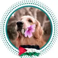 Veterinary Jobs🐾 WhatsApp Channel