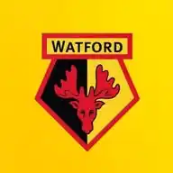 Watford FC 🐝  WhatsApp Channel