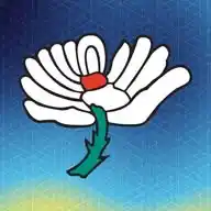 Yorkshire CCC  WhatsApp Channel