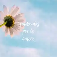 Agradecidos_por_la_Gracia WhatsApp Channel