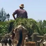Alpujarra de Granada / Capileira, Bubión y Pampaneira