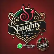 Anonymous Liberals In The Naughty Corner WhatsApp Channel
