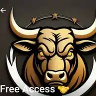 Forex Trading VIP WhatsApp Channel