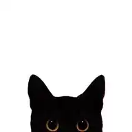 Gato por Madrid 😺 WhatsApp Channel