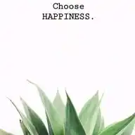 🌺Lovingkindness 🌺 WhatsApp Channel