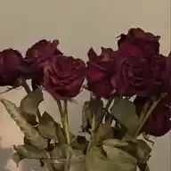 مـِعَيـــــــه WhatsApp Channel