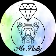 Mr. Bully Ankündigungen WhatsApp Channel