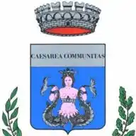 Polizia Locale Porto Cesareo WhatsApp Channel