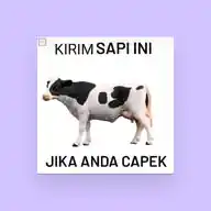 Story Al WhatsApp Channel
