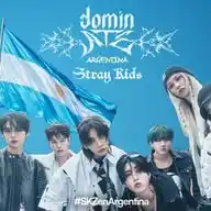 STRAY KIDS ARGENTINA, QUEREMOS FECHA!! WhatsApp Channel