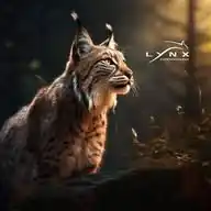 The Lynx Family  WhatsApp Channel