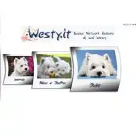 Westy Social Network WhatsApp Channel
