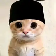 An WhatsApp Channel