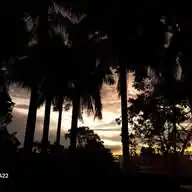 Photographer WhatsApp Channel