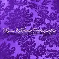 Rosa María Fotografía 📸 WhatsApp Channel