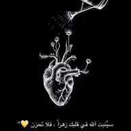 استراحة قـــ𓂆لب ♡ WhatsApp Channel