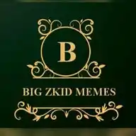 Big zKid Memes  WhatsApp Channel