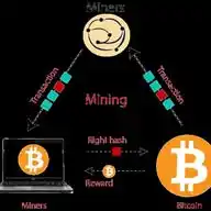 Crypto Rayyan WhatsApp Channel