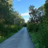 حكم يوم الجمعة WhatsApp Channel