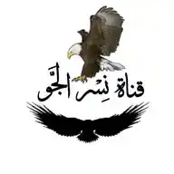 قناة 🦅 نِسْر الجَّو طَلَّات عَسْكَرِيَّة 🇸🇩 WhatsApp Channel